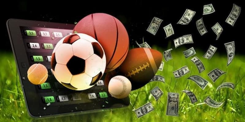 Lý do bạn nên tham gia cá cược thể thao tại iwin